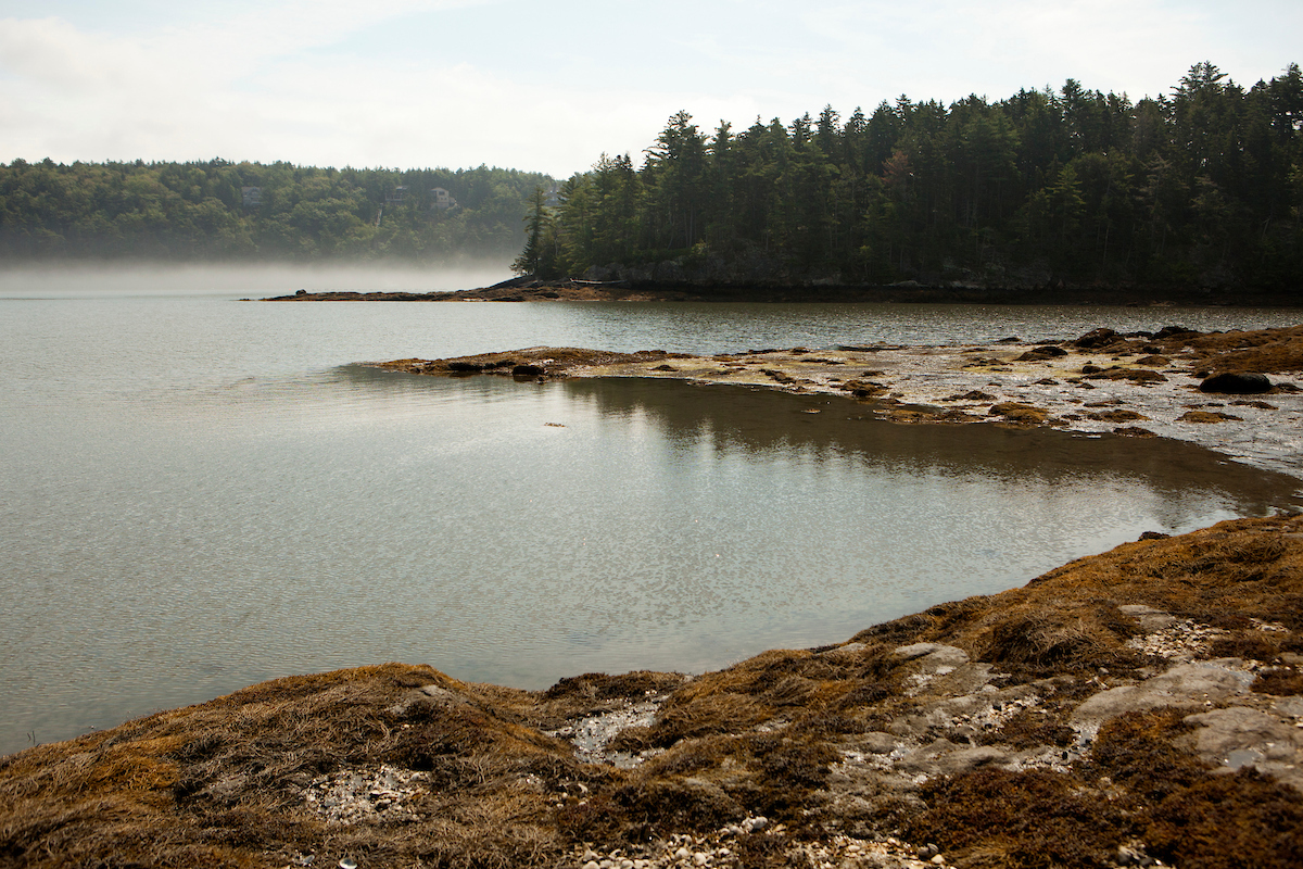 Hamilton Audubon Sanctuary