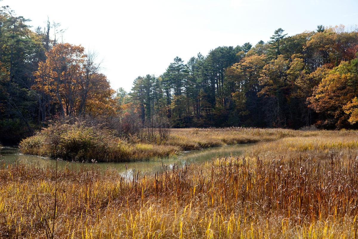 Mast Landing Audubon Sanctuary