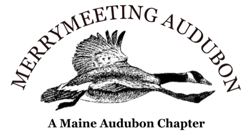 Merrymeeting Audubon