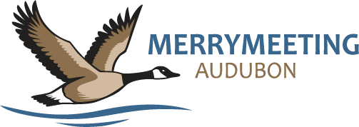 Merrymeeting Audubon